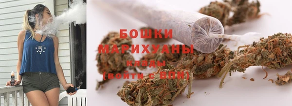 прущие грибы Козловка