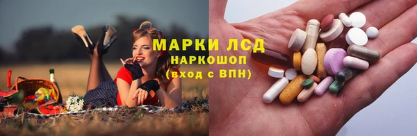мяу мяу мука Кодинск