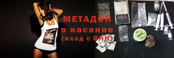 прущие грибы Козловка