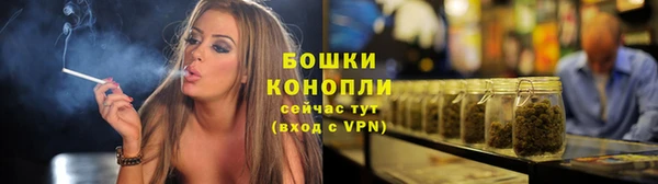прущие грибы Козловка
