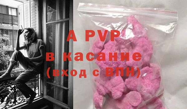 прущие грибы Козловка