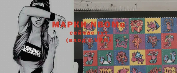 прущие грибы Козловка