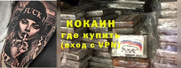 прущие грибы Козловка