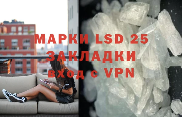 прущие грибы Козловка