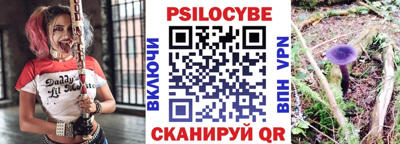 Галлюциногенные грибы мицелий  Купить  Жуков 