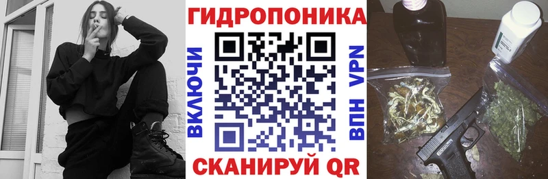 Купить закладки  Жуков  Шишки марихуана сатива 